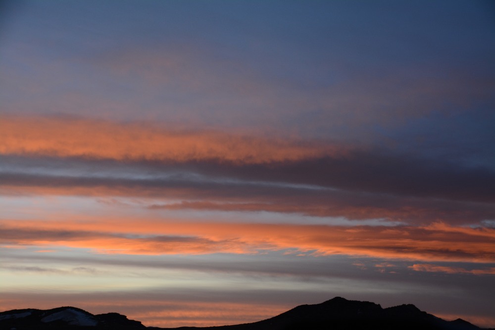 DSC_3478.JPG