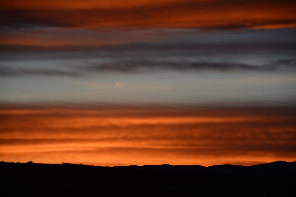 DSC_3480.JPG