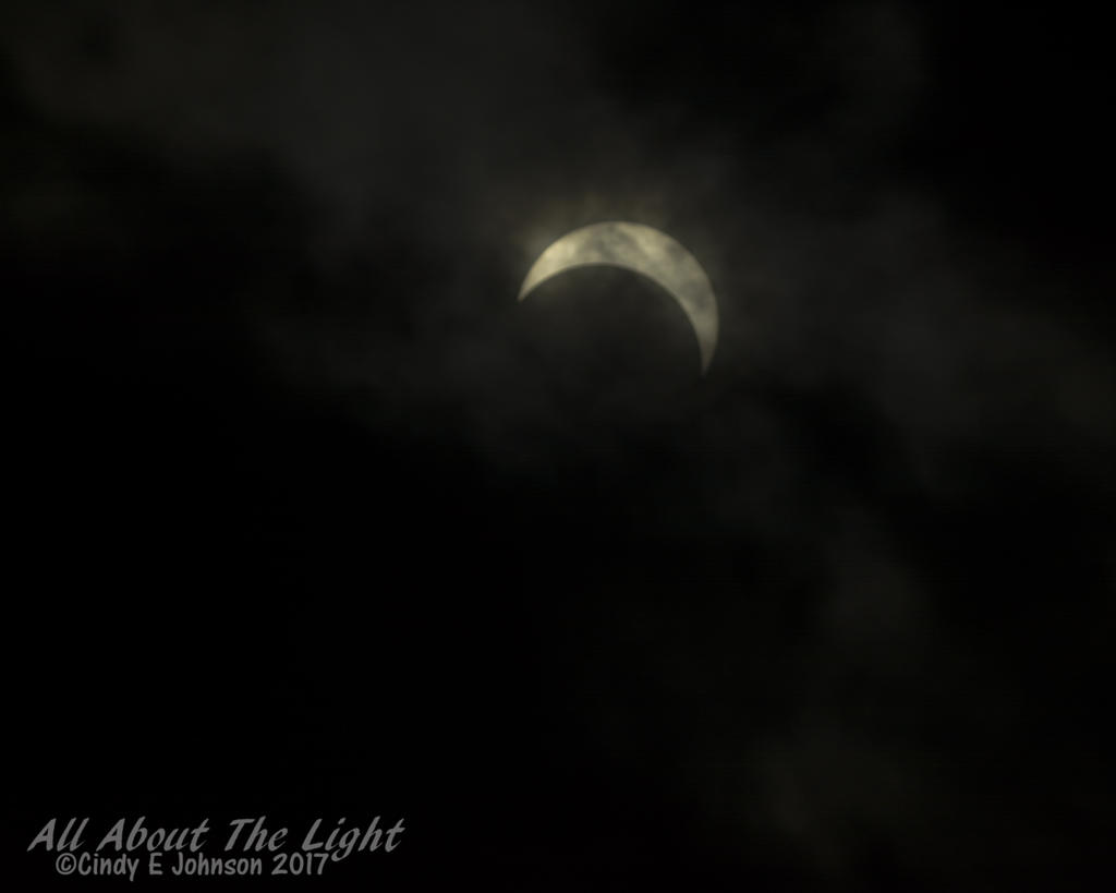DSC_3480 low res.jpg