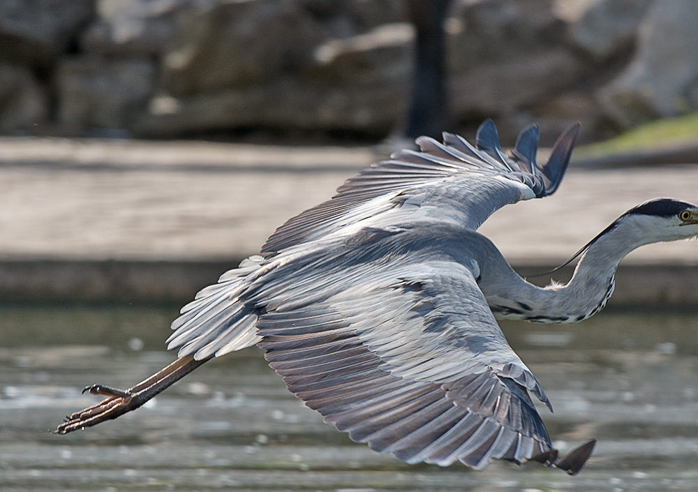 DSC_3481.jpg
