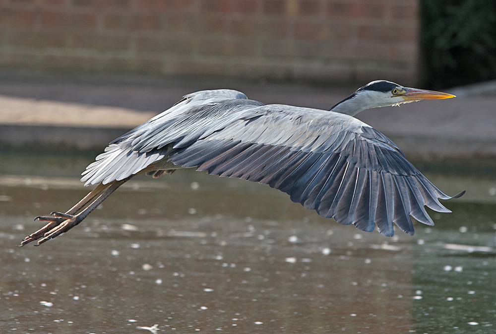 DSC_3483.jpg