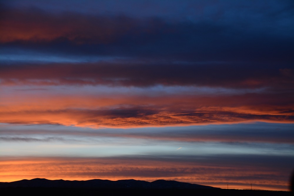 DSC_3485.JPG
