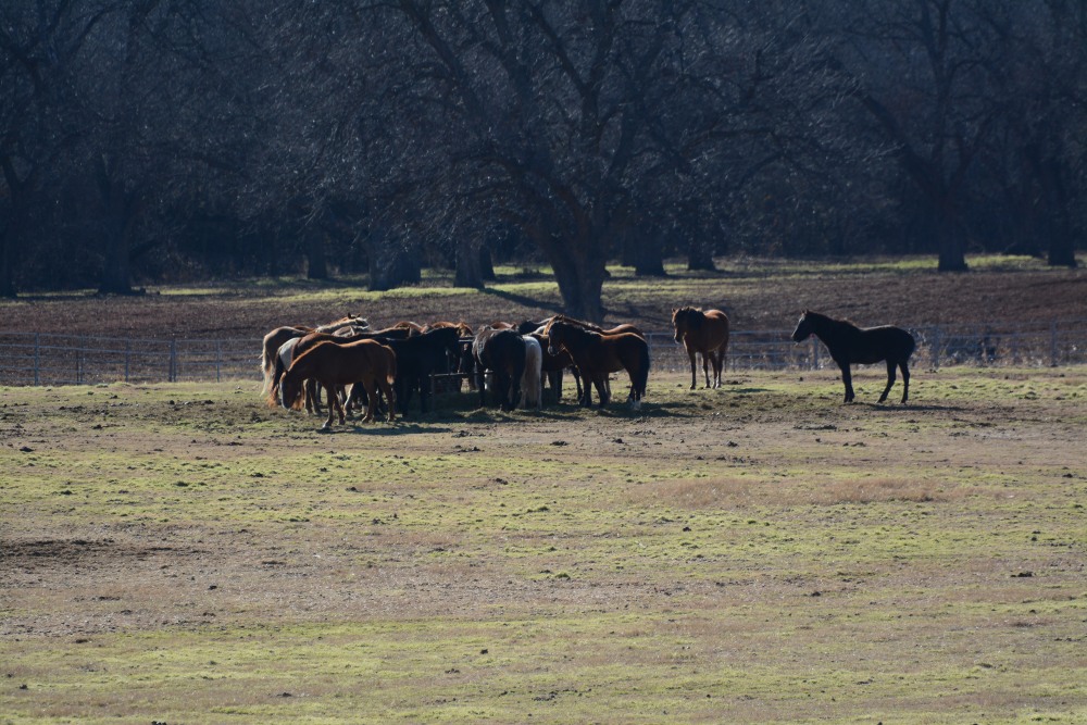 DSC_3500.JPG