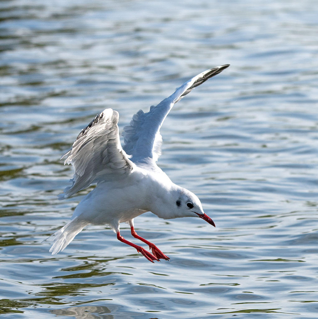 DSC_3502.jpg