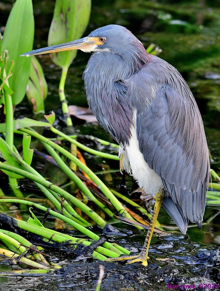 DSC_3502_001.JPG