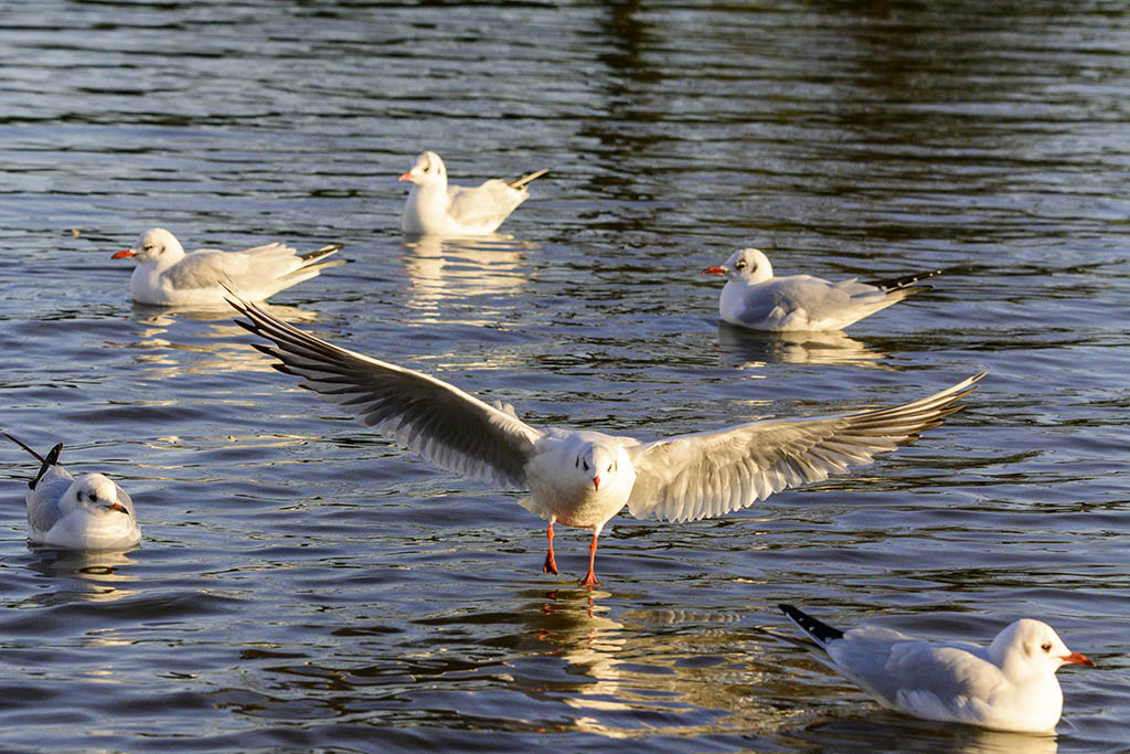 DSC_3505.jpg