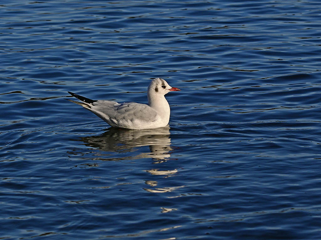 DSC_3506.jpg