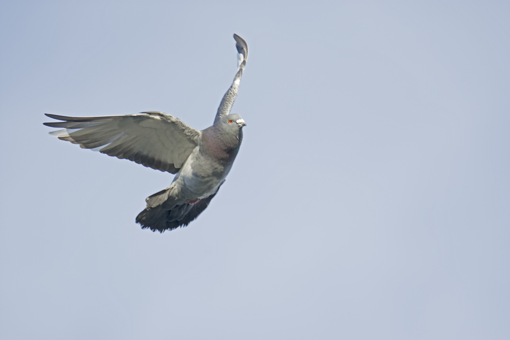 DSC_3507.jpg