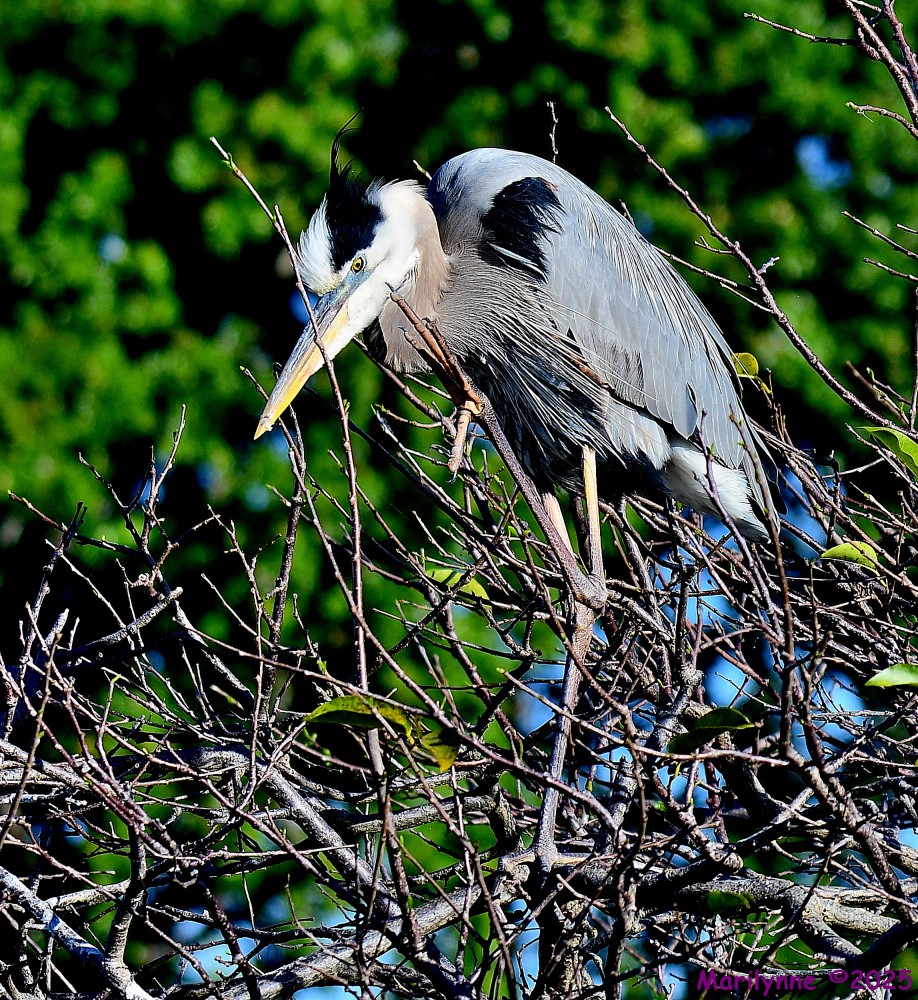 DSC_3507_001.JPG