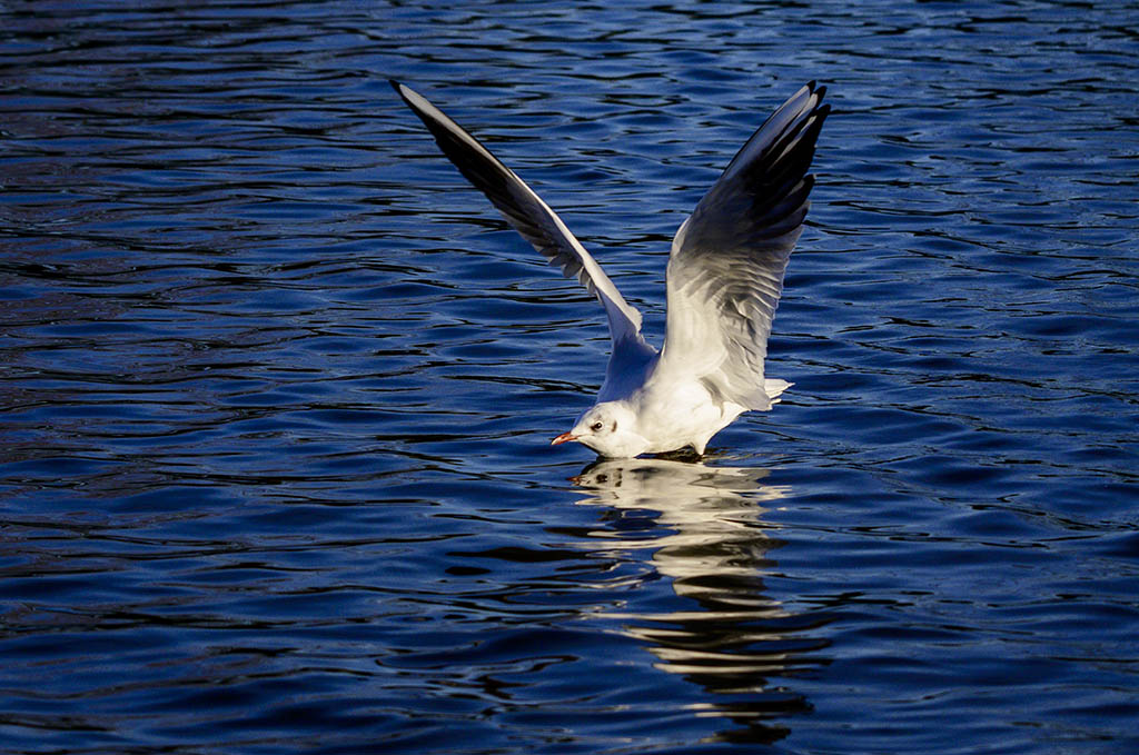 DSC_3508.jpg