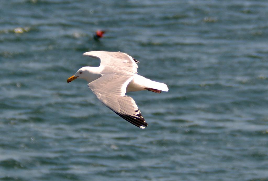 DSC_3514.jpg