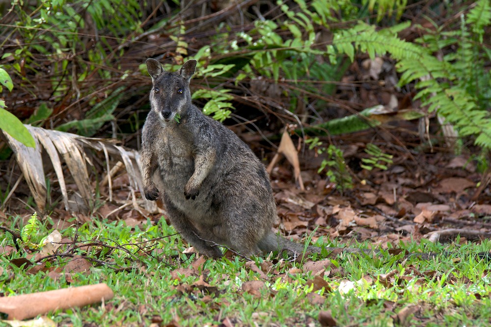 DSC_3516.jpg