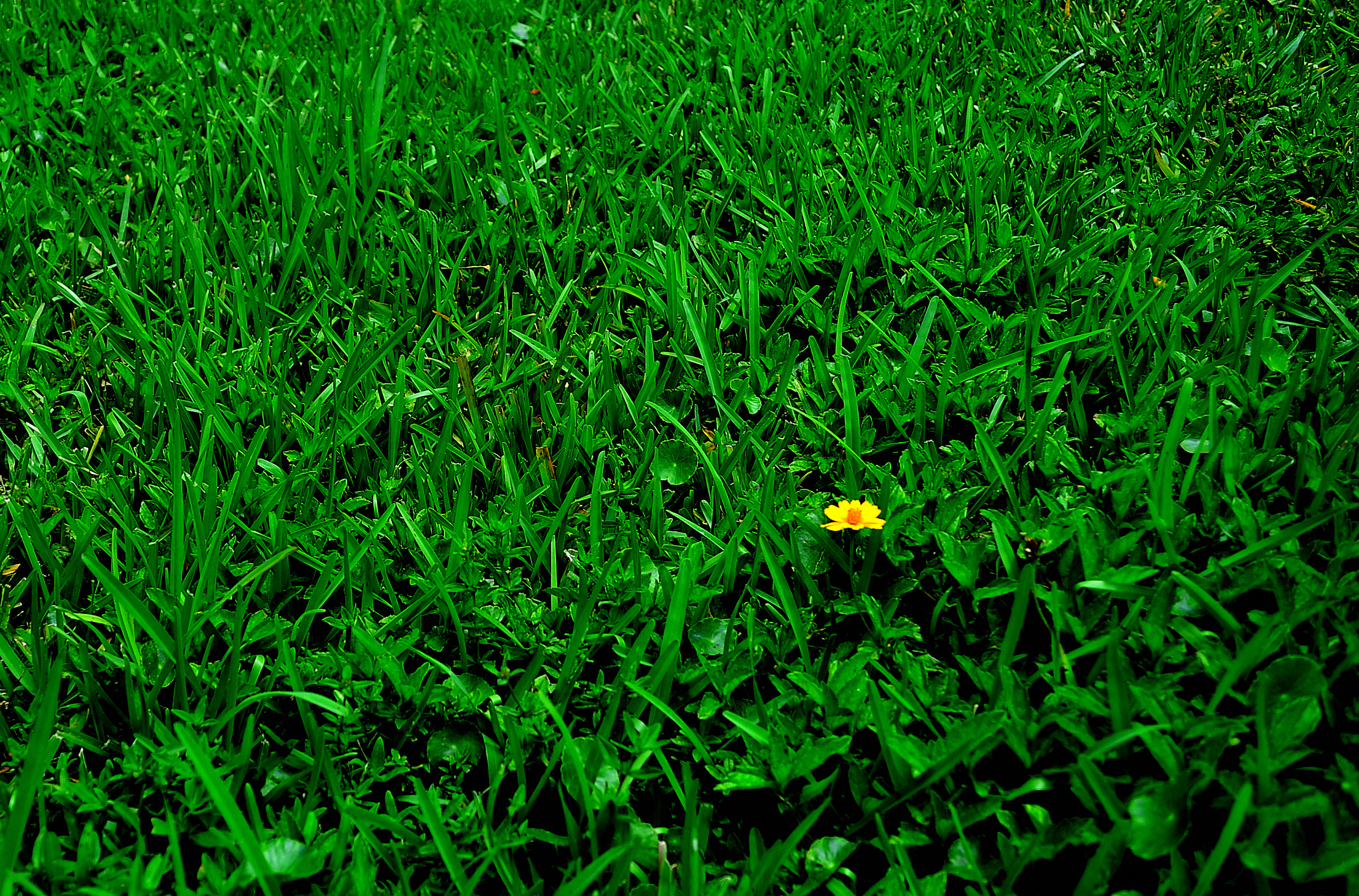 DSC_3516_01.JPG