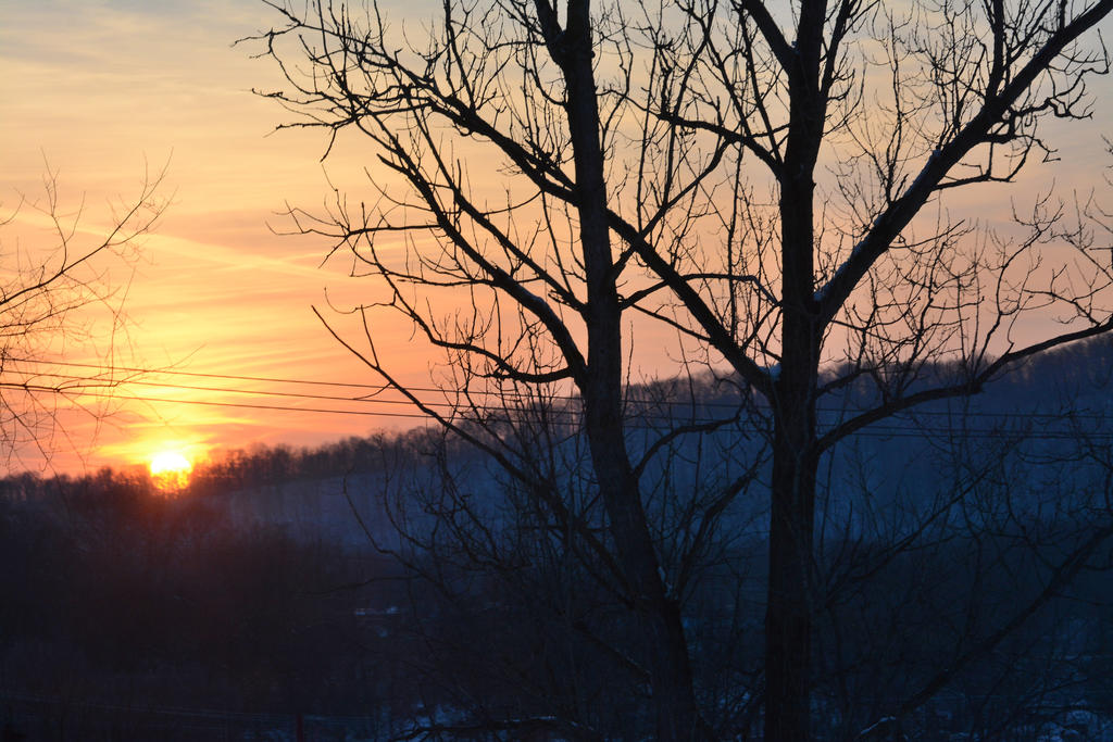 DSC_3517.jpg