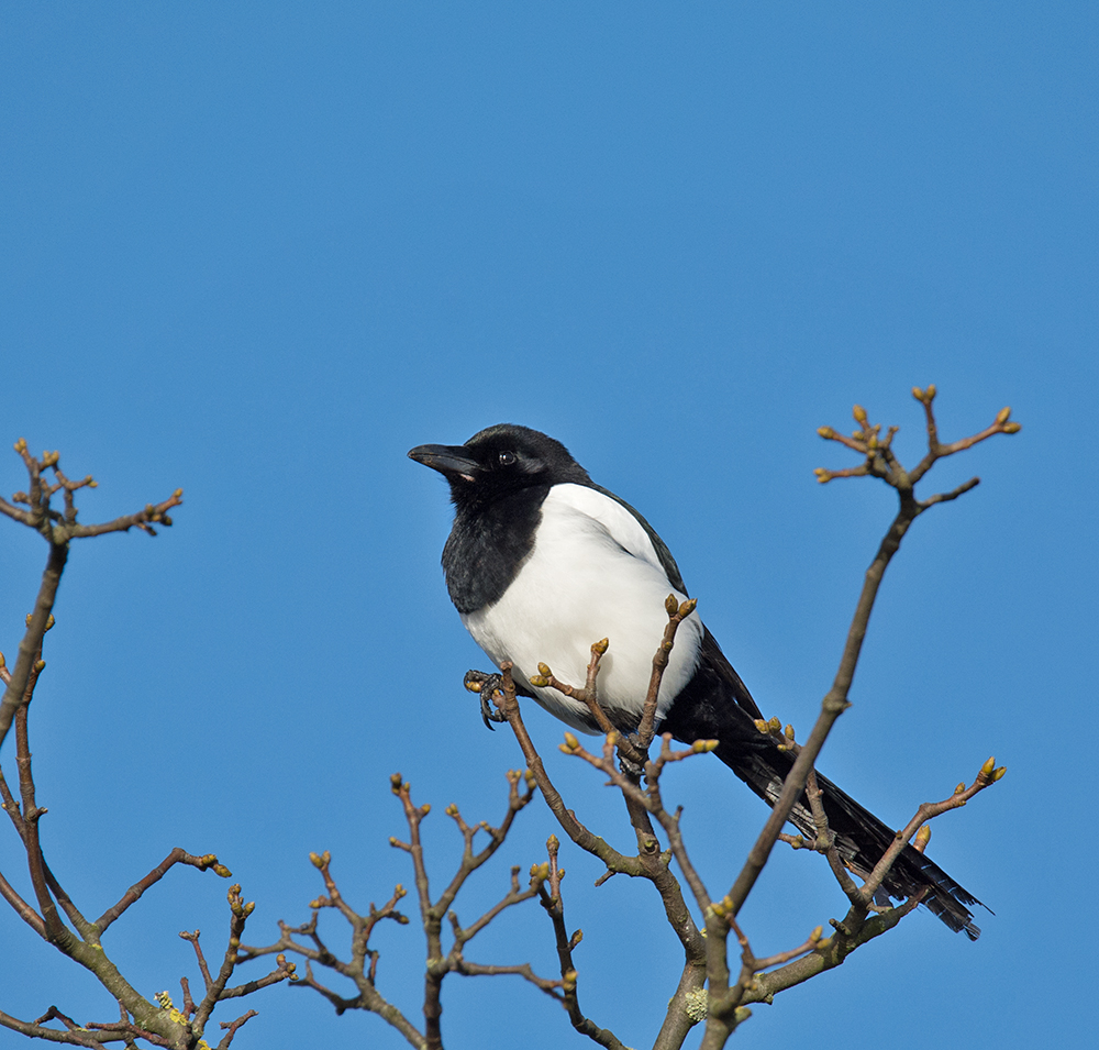 DSC_3518.jpg