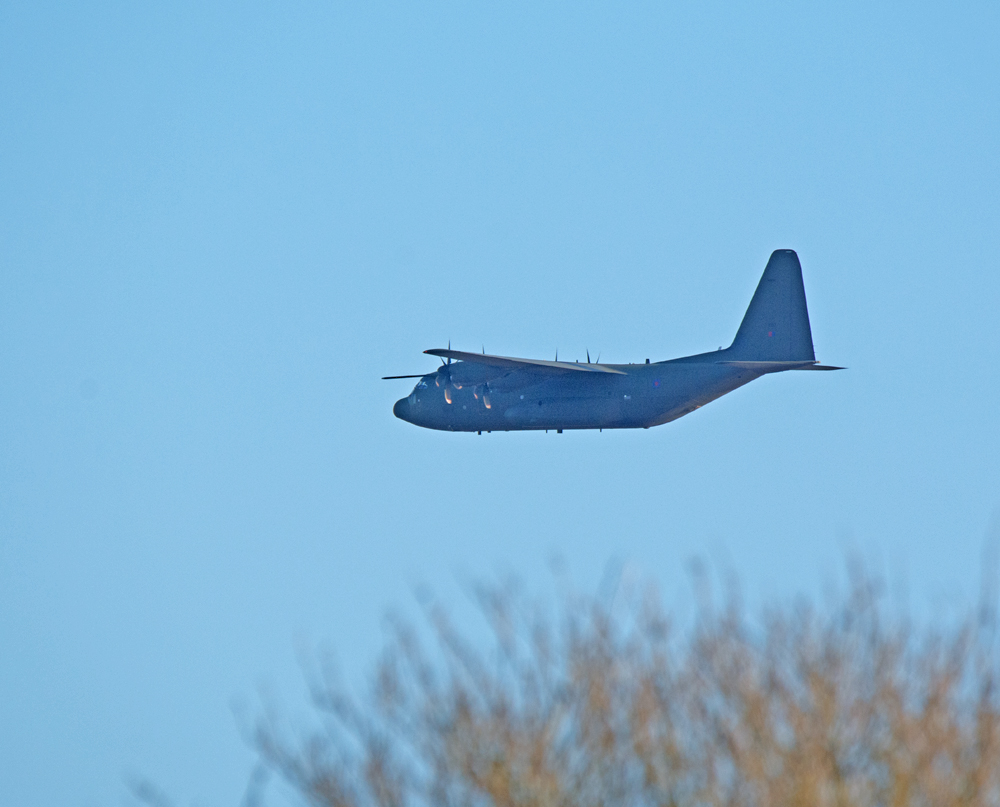 DSC_3523.jpg
