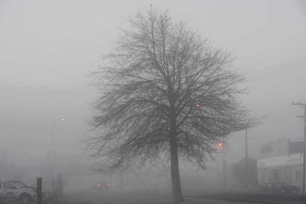 DSC_3523.jpg
