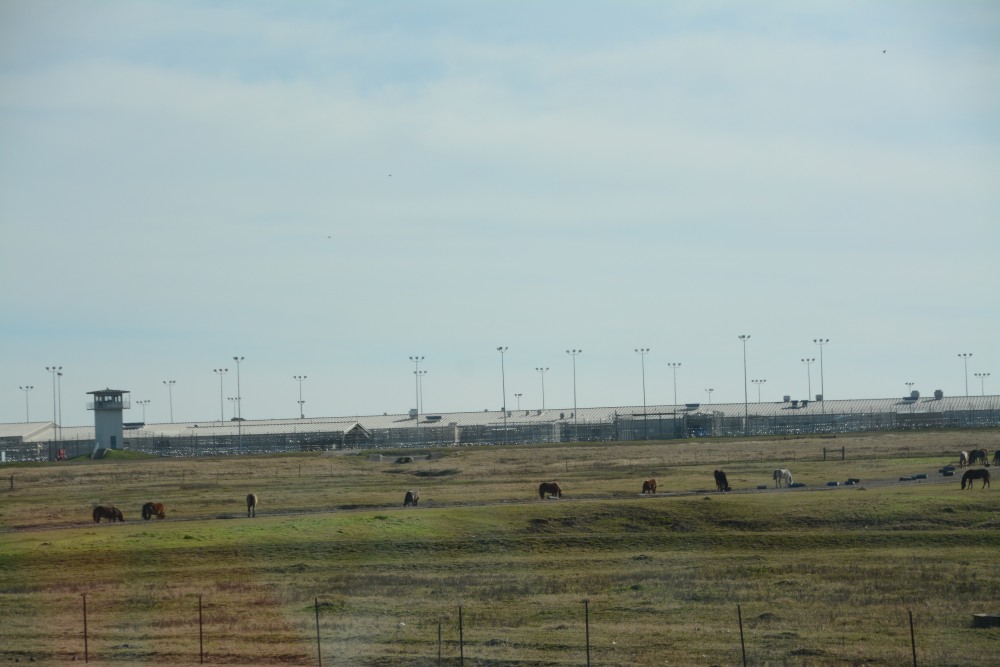 DSC_3525.JPG