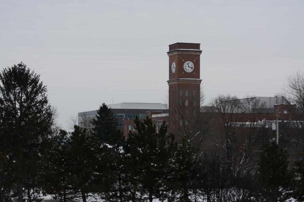 DSC_3527.jpg