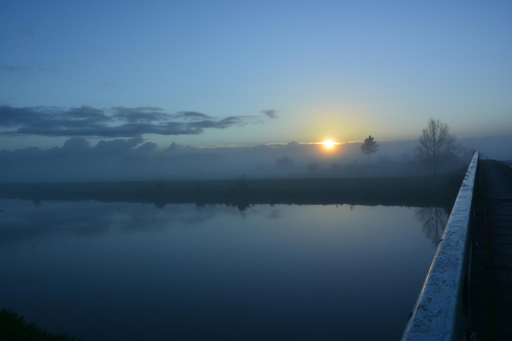 DSC_3527.jpg