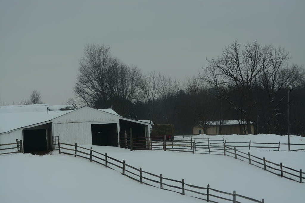 DSC_3531.jpg