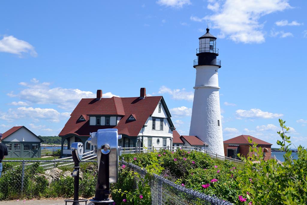 DSC_3532.jpg