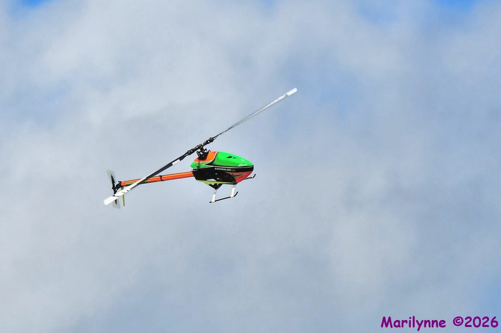 DSC_3534_001.JPG