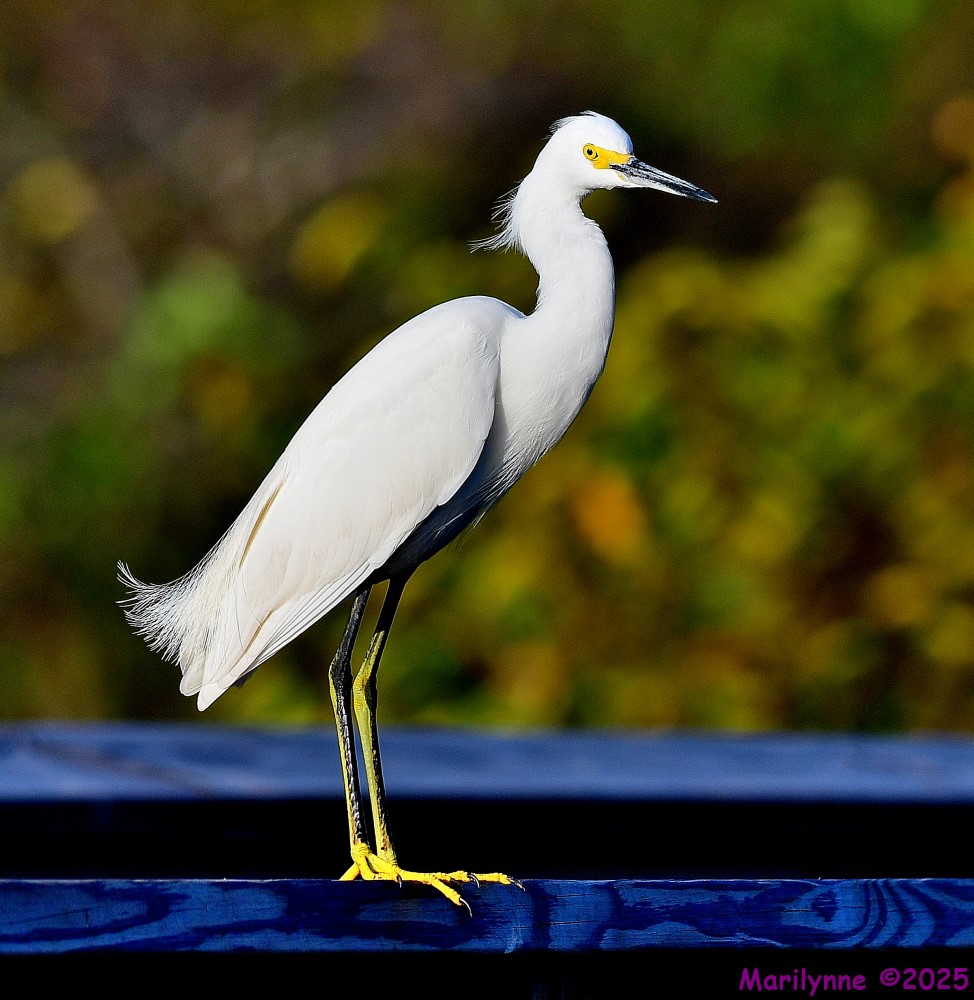 DSC_3535_001.JPG