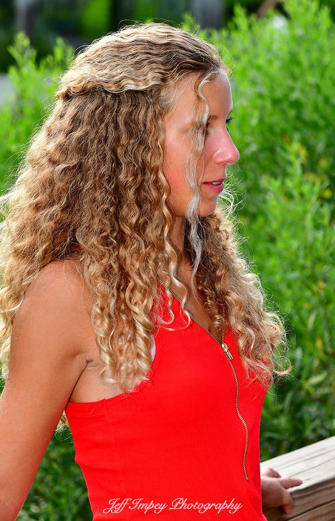 DSC_3536.jpg