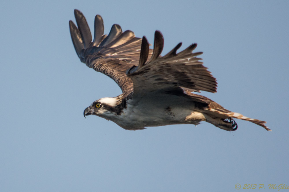 DSC_3537.jpg