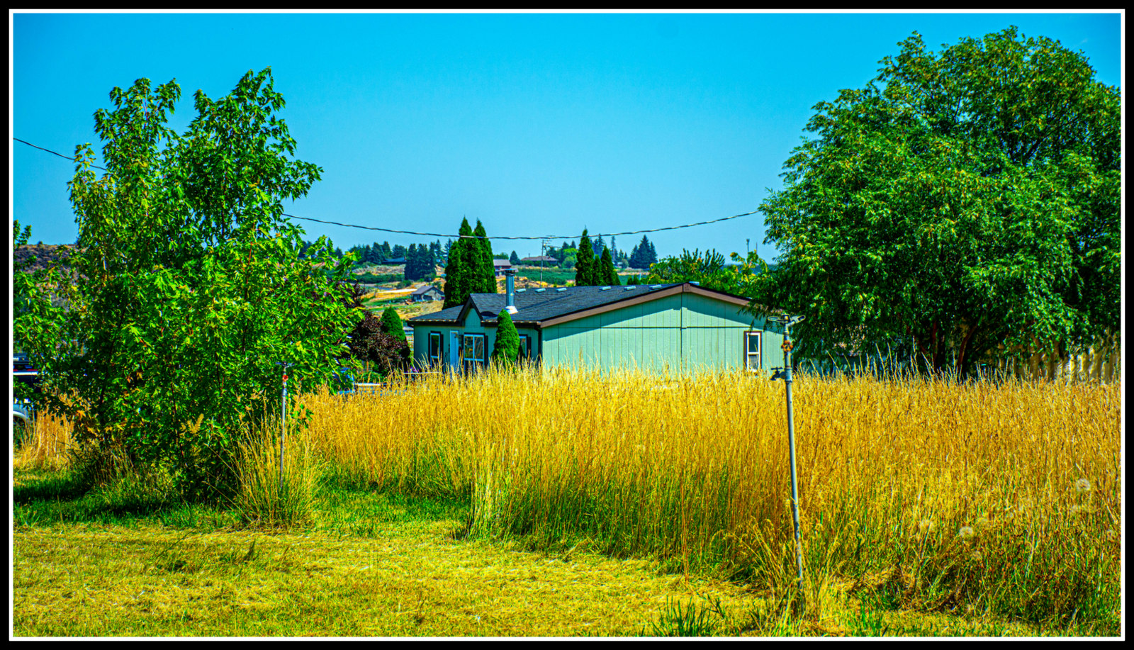DSC_3538.jpg