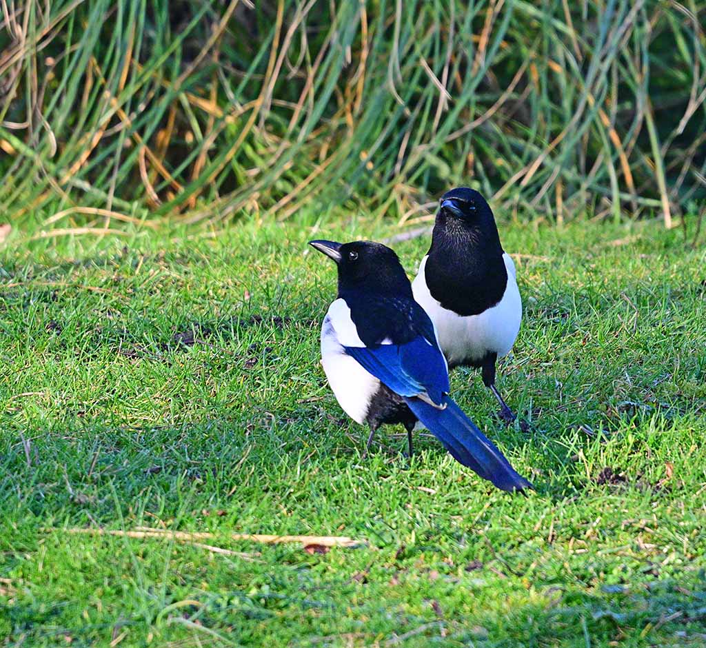 DSC_3539.jpg