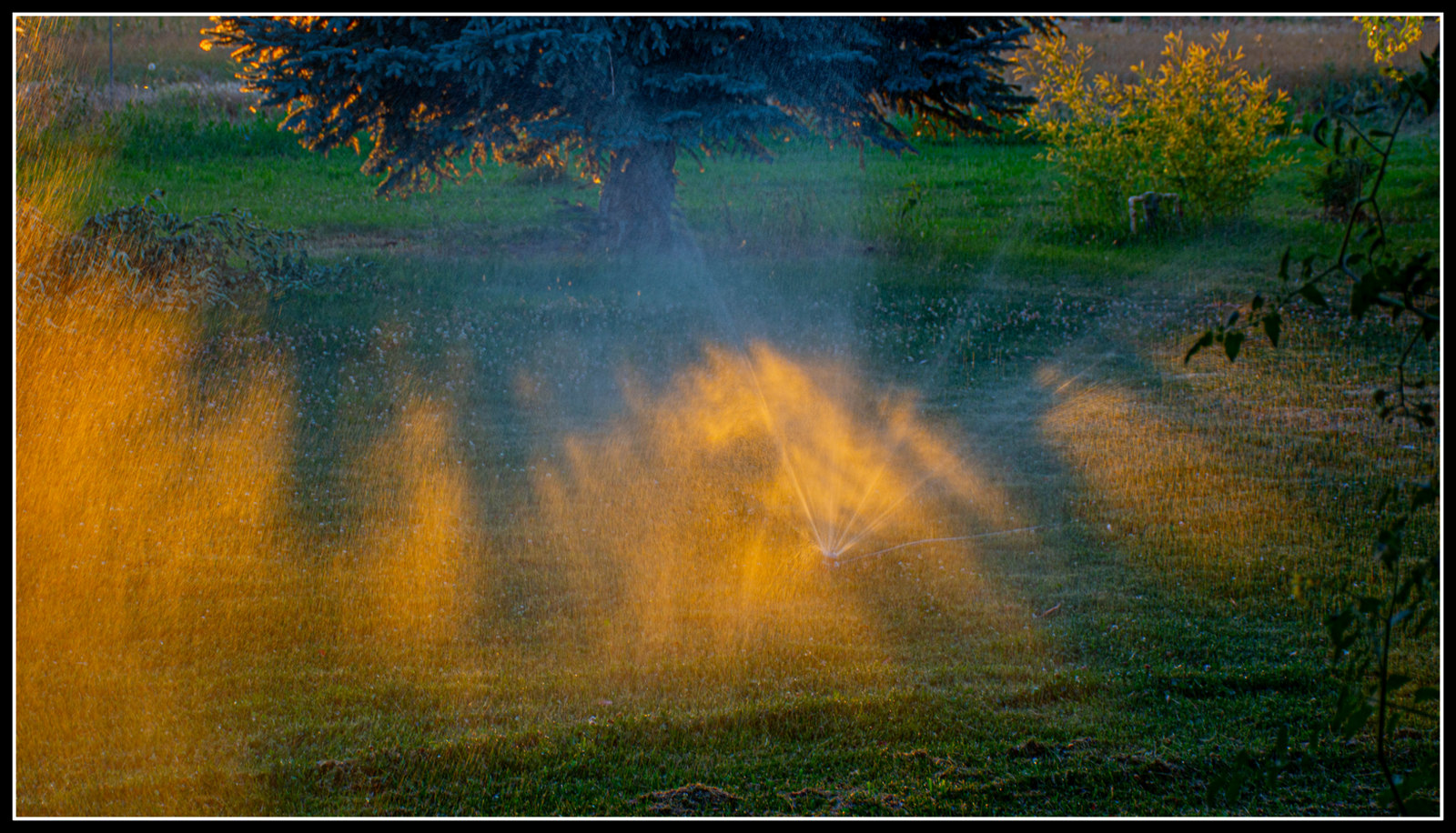 DSC_3542-2.jpg
