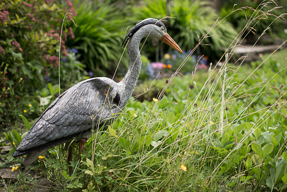 DSC_3543.jpg