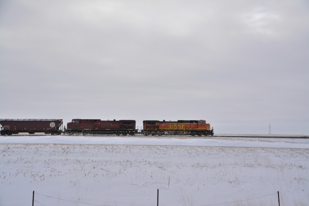 DSC_3545.JPG