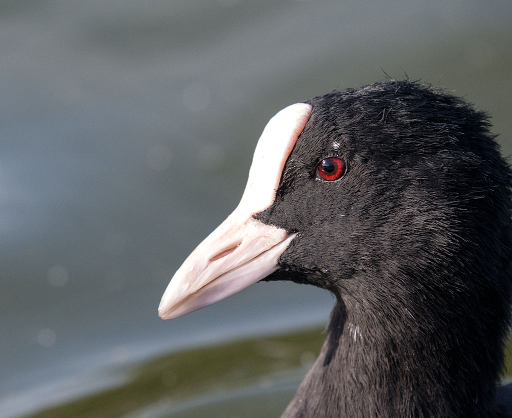 DSC_3546.jpg