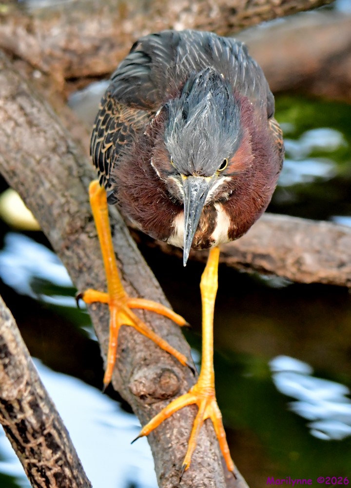 DSC_3546_001.JPG