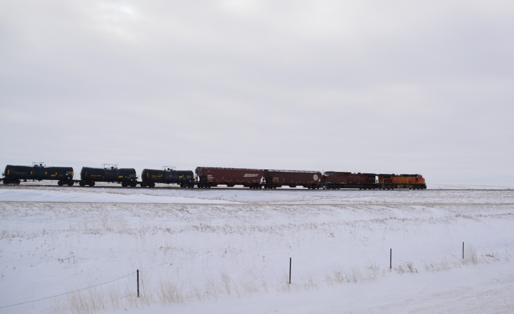 DSC_3547.JPG