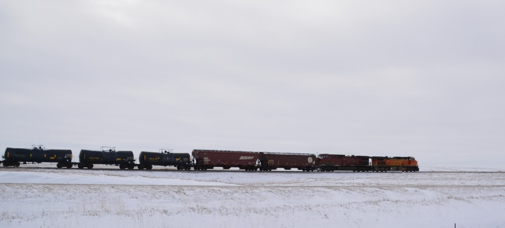DSC_3547_01.JPG