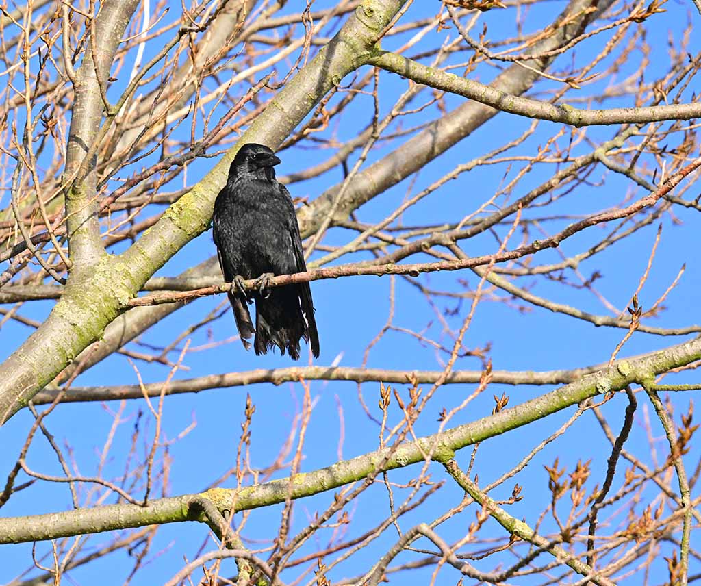 DSC_3549.jpg