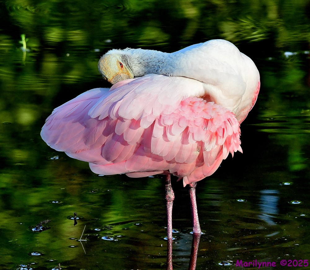 DSC_3551_001.JPG