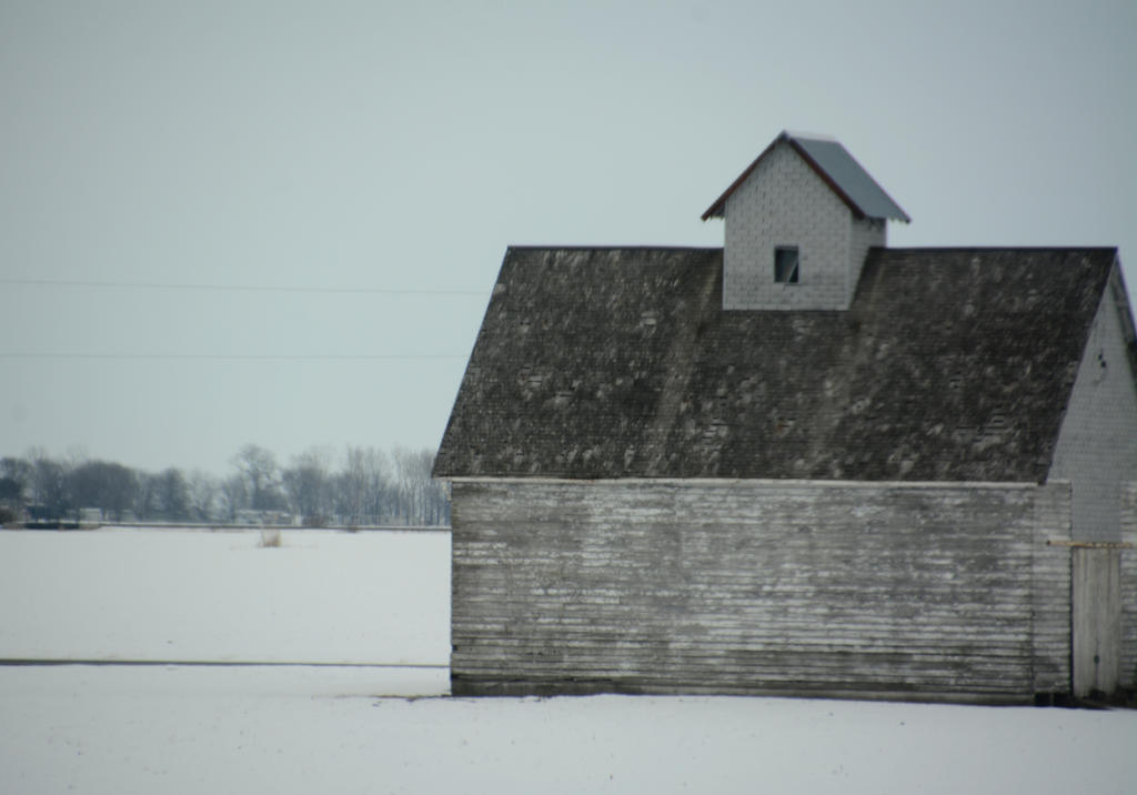 DSC_3552.jpg