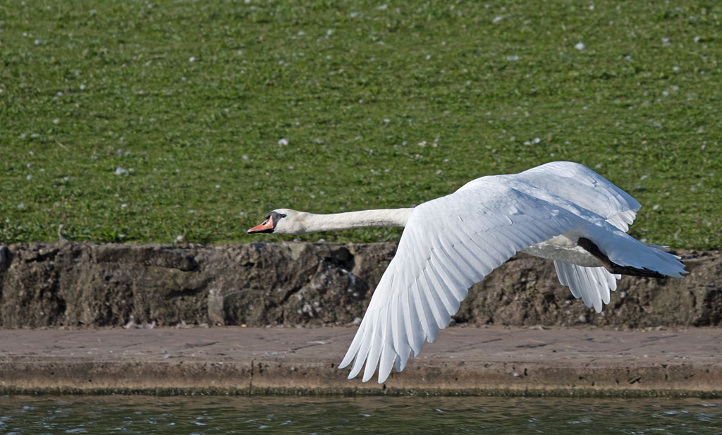 DSC_3555.jpg
