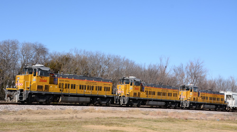 DSC_3556_01.JPG