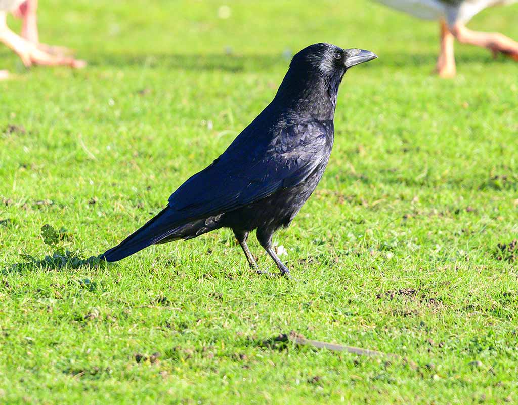 DSC_3558.jpg