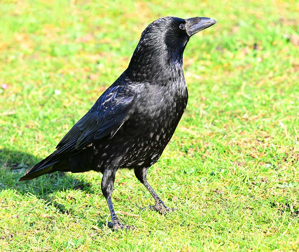 DSC_3559.jpg
