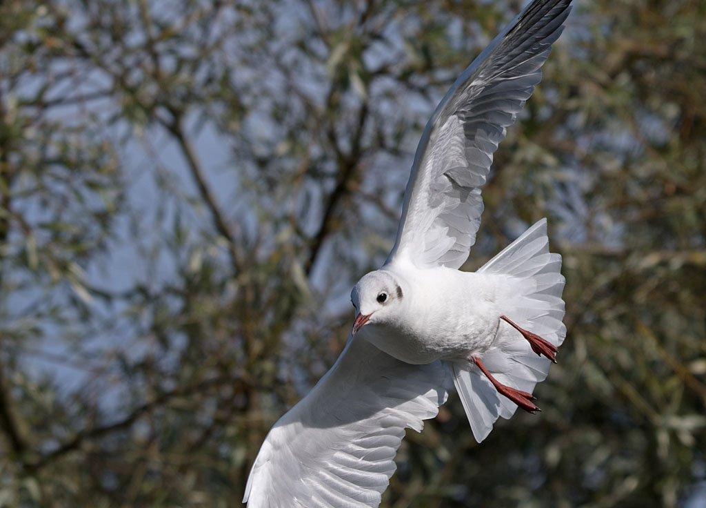 DSC_3563.jpg