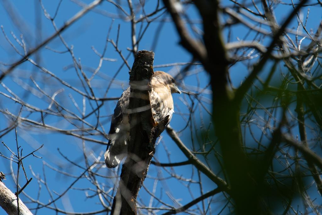 DSC_3563.jpg