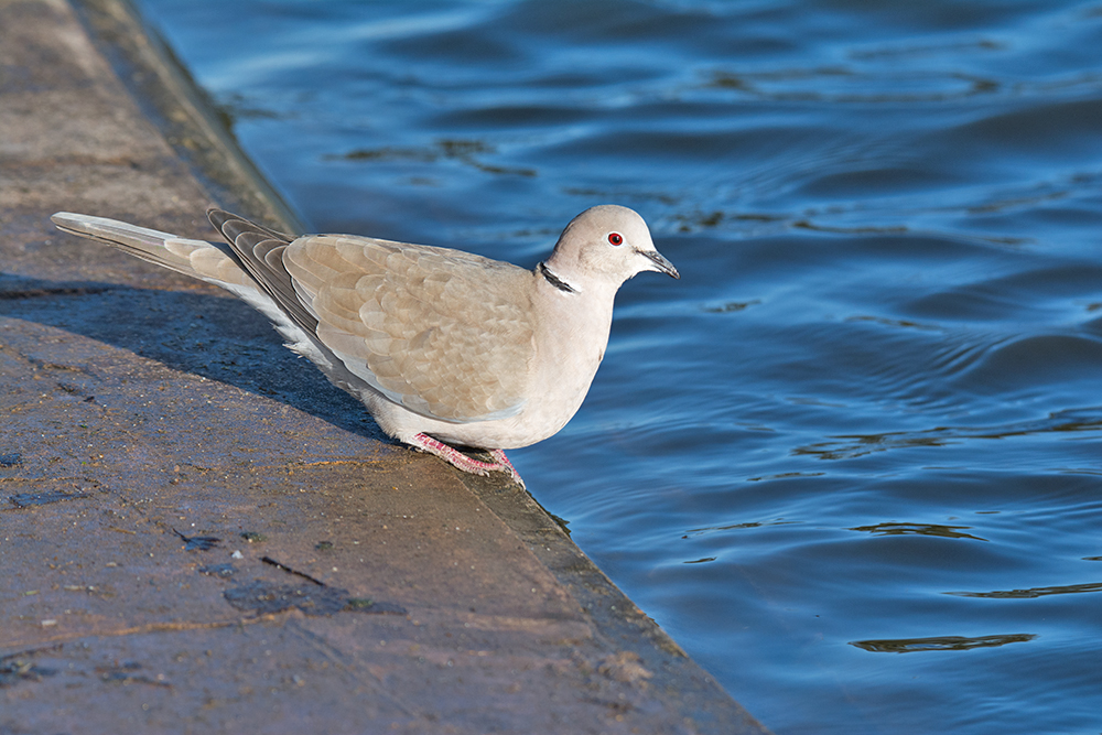 DSC_3564.jpg