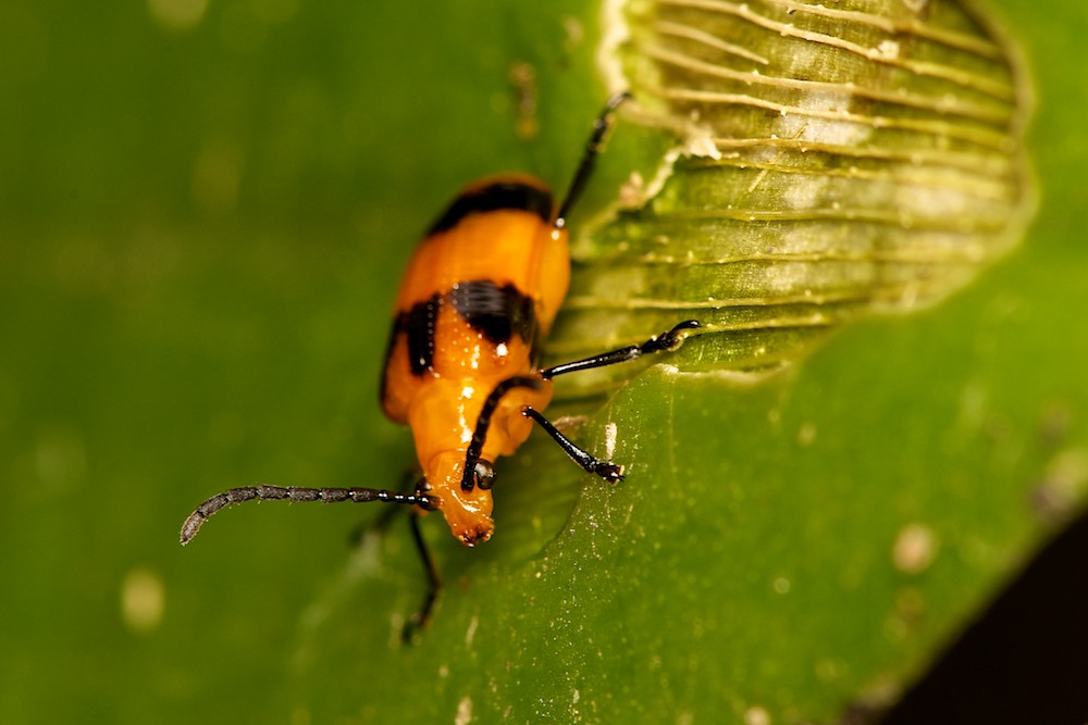 DSC_3565.jpg